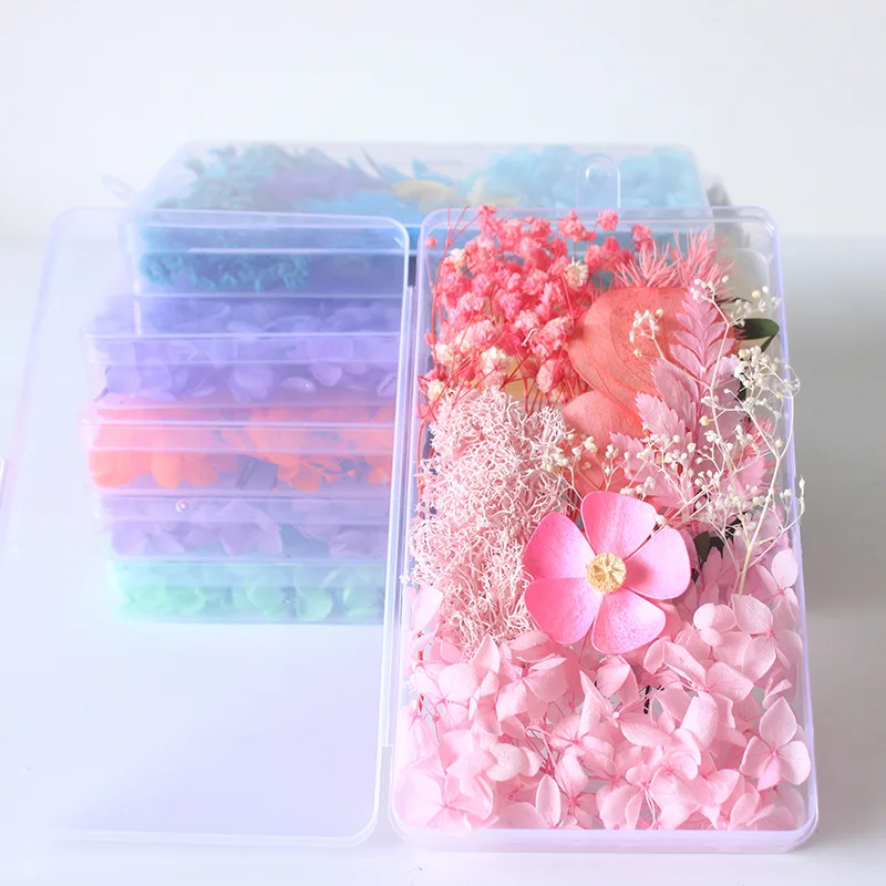 Confezione in scatola di fiori secchi Borsa in materiale per fiori eterni Cornice fai-da-te Bottiglia di vetro Colla a goccia Produzione artigianale di fiori reali fatti a mano
