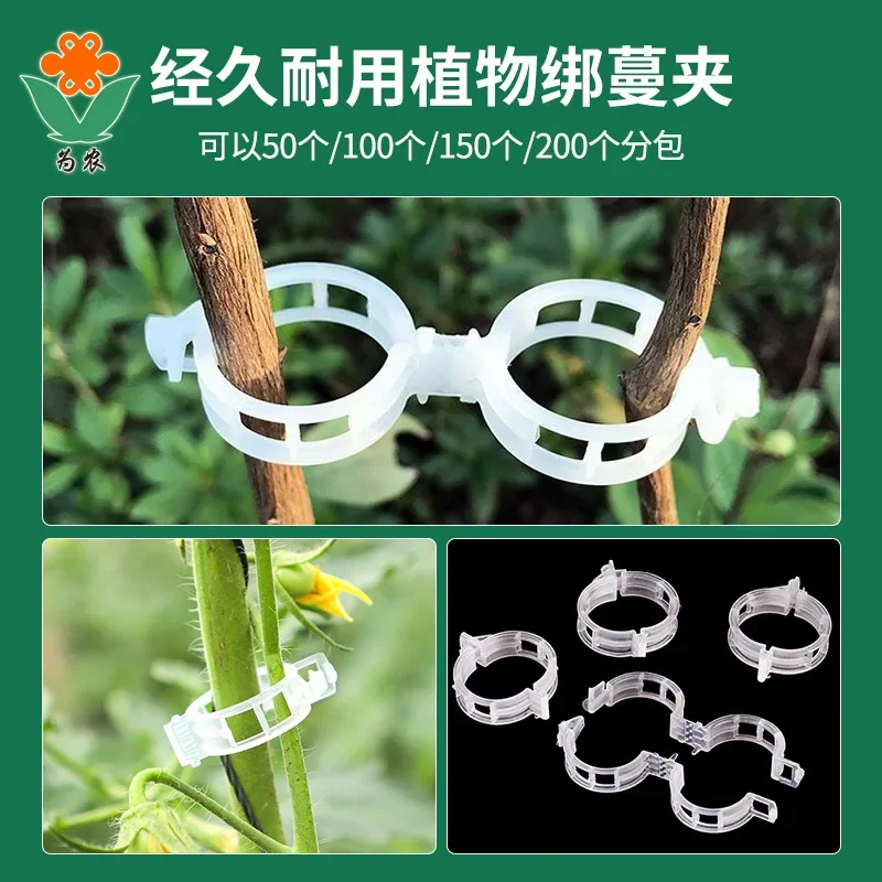 Plastic Plant Support Clips, Enxertando Ferramenta de Fixação para Vegetais, Tomate Garden Supplies, Proteção de Videira Reutilizável, 200 Pcs,