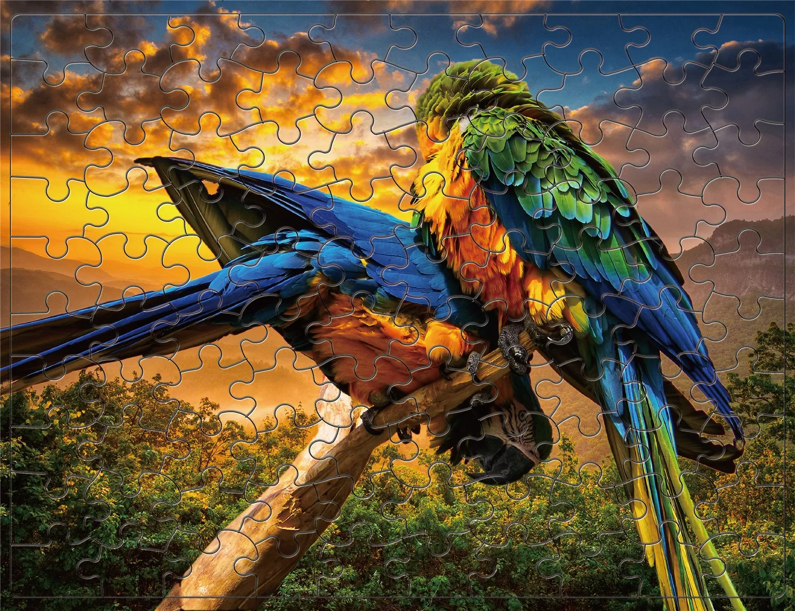 أحجية بانوراما حيوانات كرتونية ، تخفيف الضغط عن الببغاء ، تجميع الصور ، هدايا ألعاب تعليمية #3