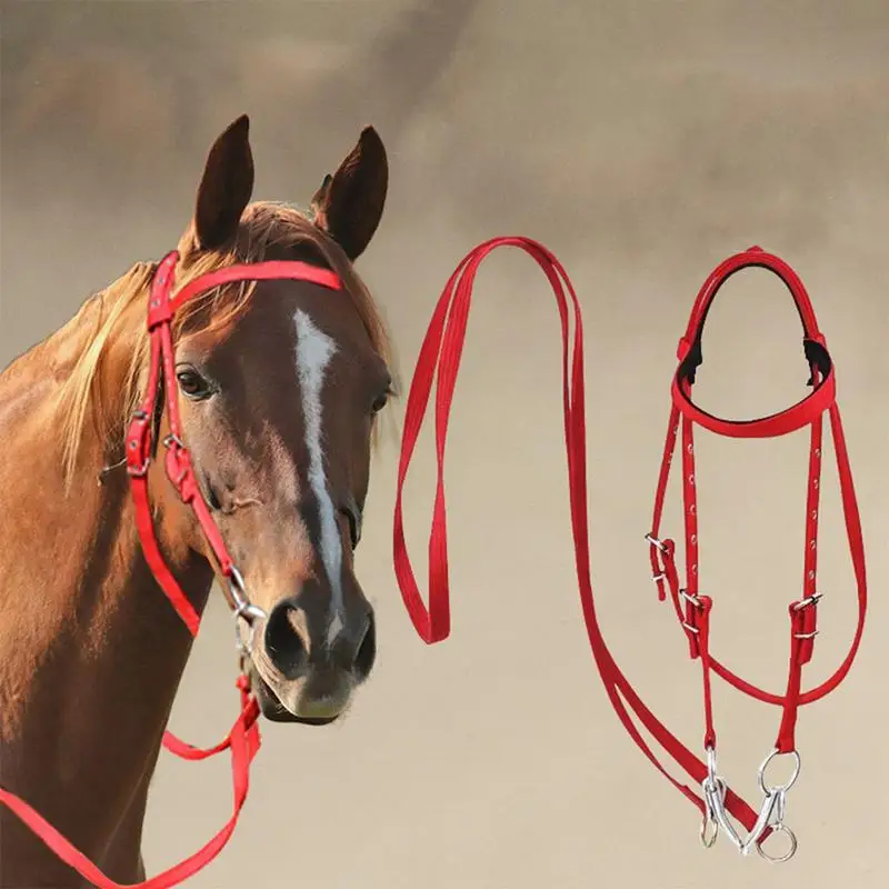 Horse Bridle Adjustable Snaffle Noseband Nylon Equine Noseband Reins for Women Men Soft Lined Trail Riding Equestrian Supplies