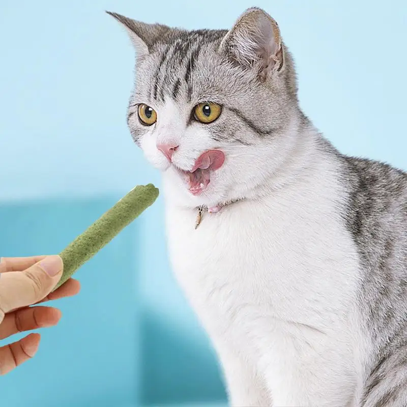 Cat Grass Teeth Grinding Stick Pet Snacks Hairball Removal Mild Hair Row Ready To Eat Baby Cat Teeth Cleaning Cat Grass Stick