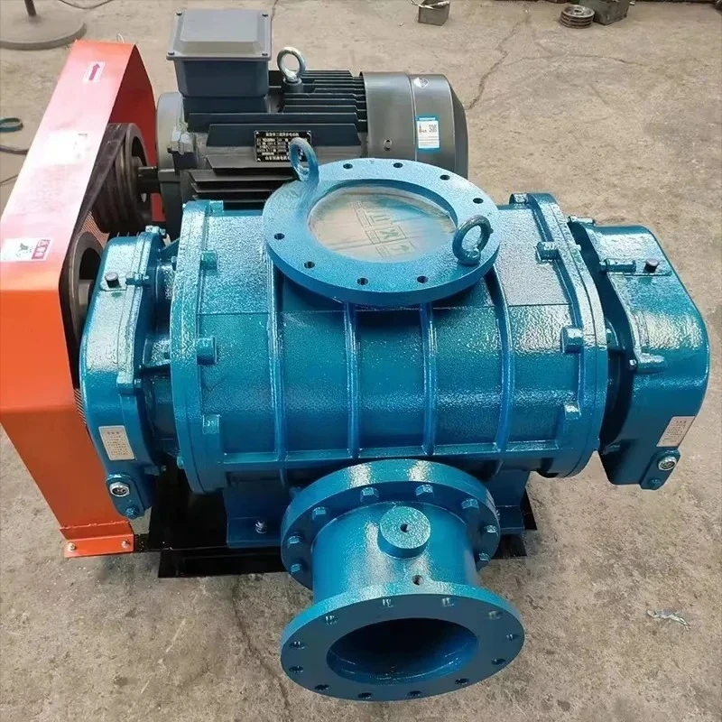 

Воздуходувка Roots для аэрации прудов и рыбоводческих хозяйств