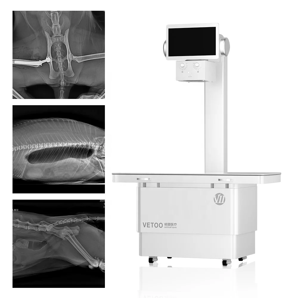 Veterinary Static DR System Clear High-resolution Images Pet Digital X-ray Imaging Machine X-ray Imaging Diagnosis
