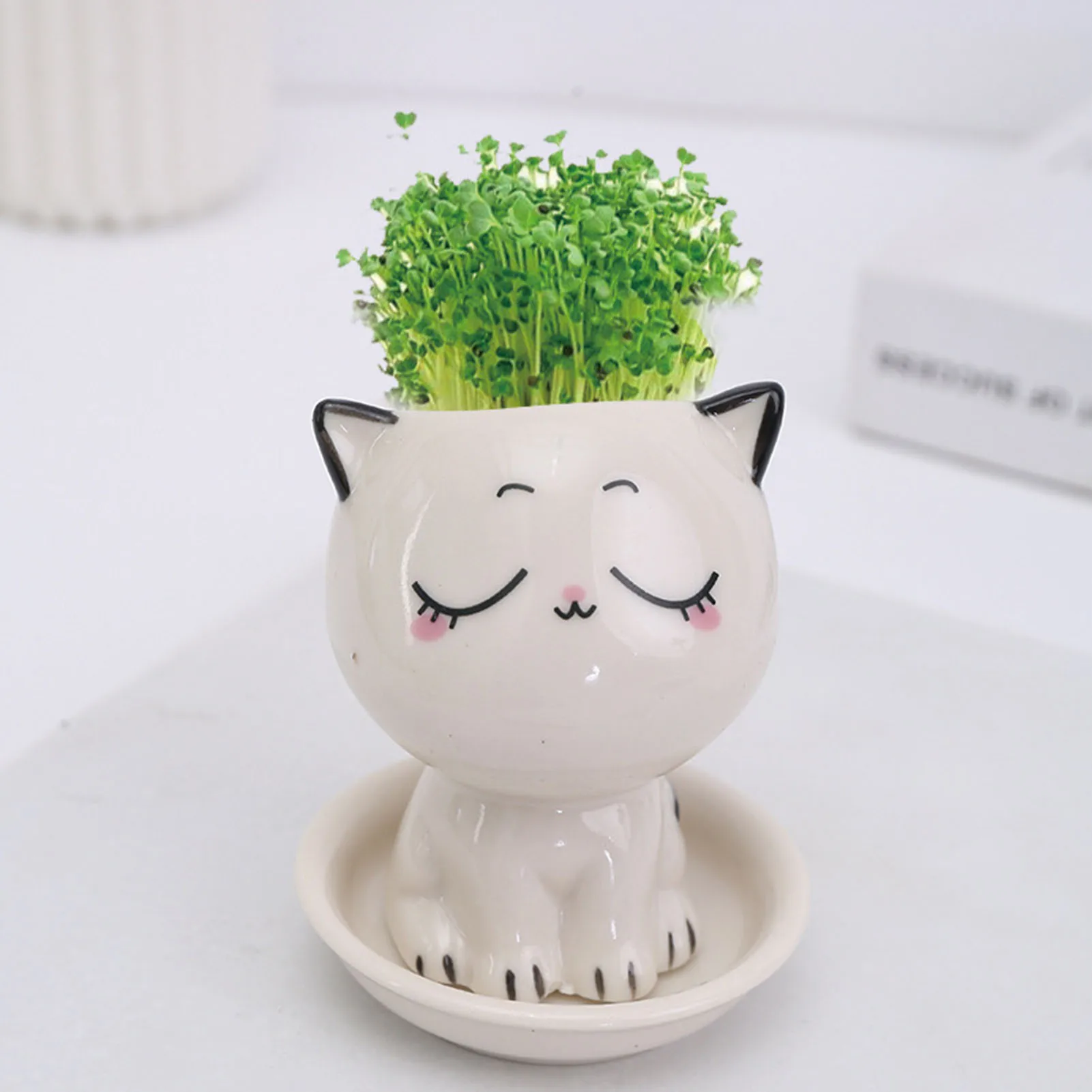 Cat Shaped Ceramic Flowerpot Cactus Flower Pots Desk Decorate Small Ornament Ideal Gift for Christmas Birthdays