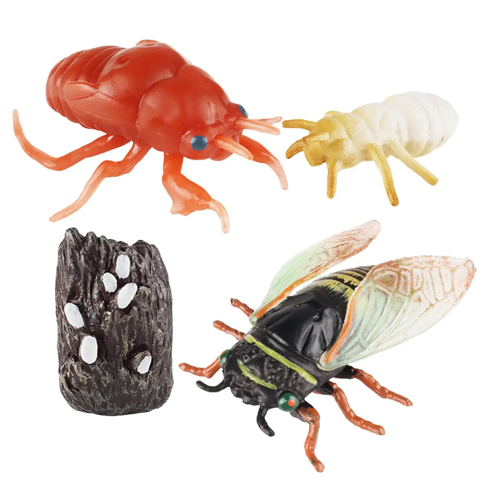 Cicada Life Cycle Set Education Toy Life Cycle Animal Figurines Animals Figurine Toy for Birthday Gifts Kids Boy Girls Children