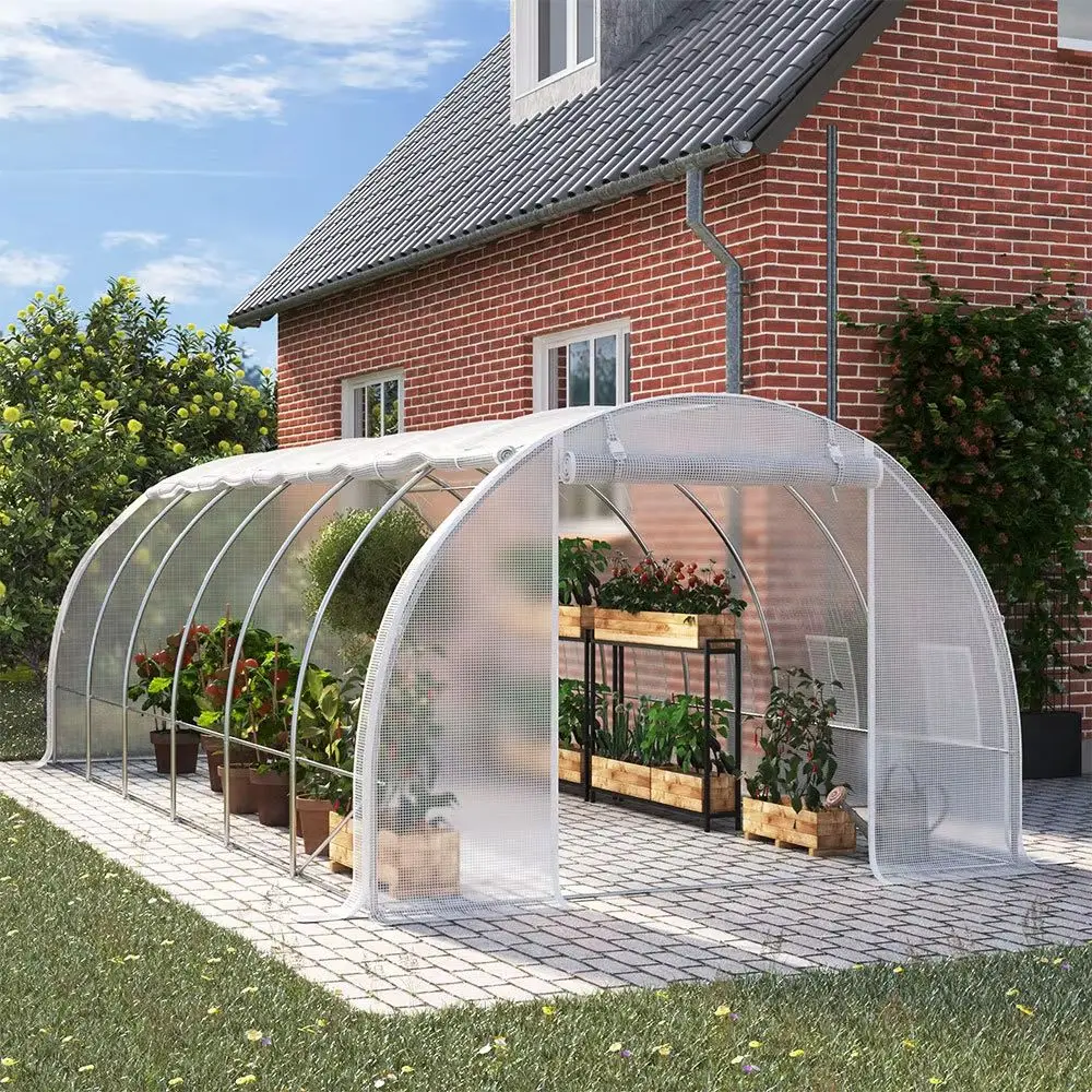 White 6M Outdoor Tunnel Greenhouse with Steel Frame