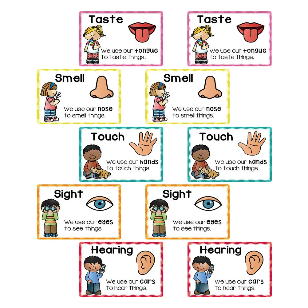 

2Sets Kids Early Education Flash Cards Cognitive Development Visual Stimulation Preschool Learning Posters Interactive Classroom