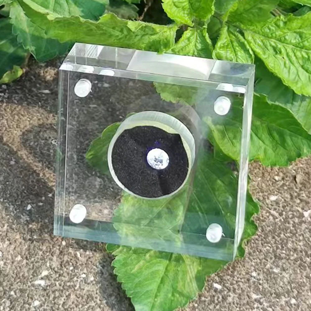 

Diamond Jewelry Storage Box Covered Stone Gems Display Organizer Tray Zircon Gift Packaging Box Transparent Gemstone GIA Box