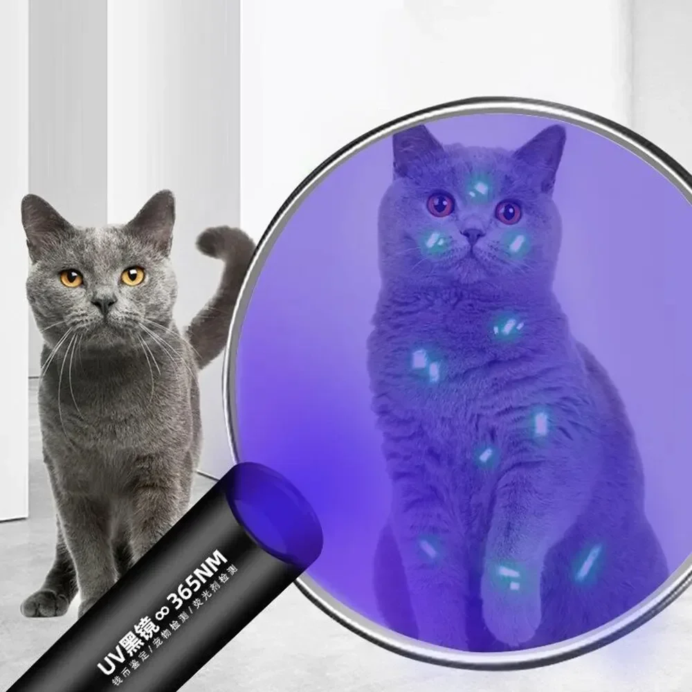 

1PC Cat Moss Detection Light Black Mirror UV Fluorescent Light Pet Fungus Detection Veterinary Professional Equipment