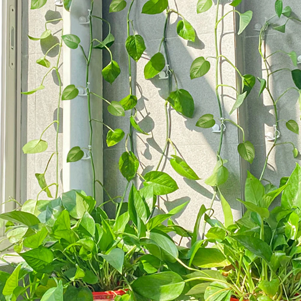

30 Pcs Plant Cage Support Clips for Climbing Vines Wall Hooks Fixtures Garden Trellis Holder Durable Plastic Easy Installation