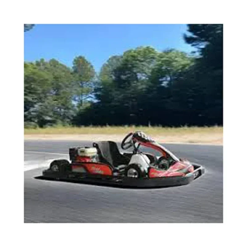 Electric Go Kart Nine Bot Go Kart Pro For Children And Adult 37km/h Go Cart Electric Karting Cars