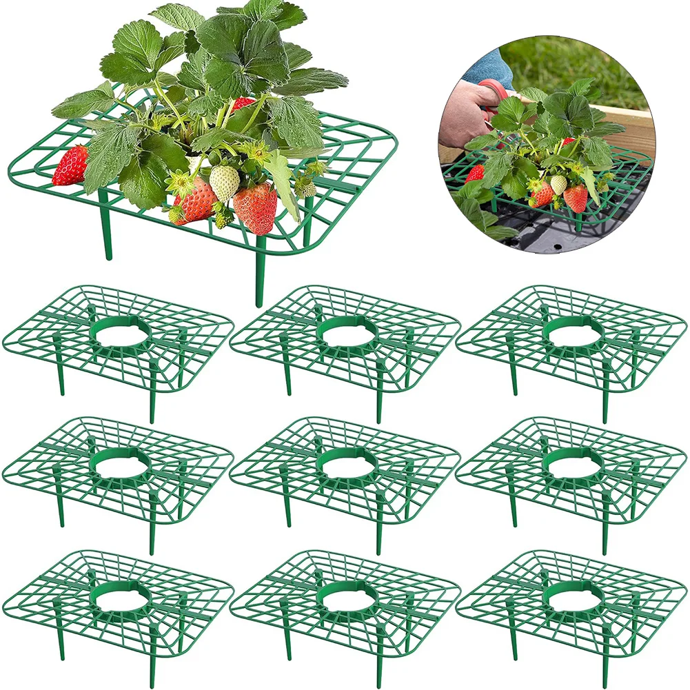 5&10Packs Square Strawberry Supports-Strawberry Growing Racks- Plant Support Strawberry Stand Holder Growing Frame Keep Berries