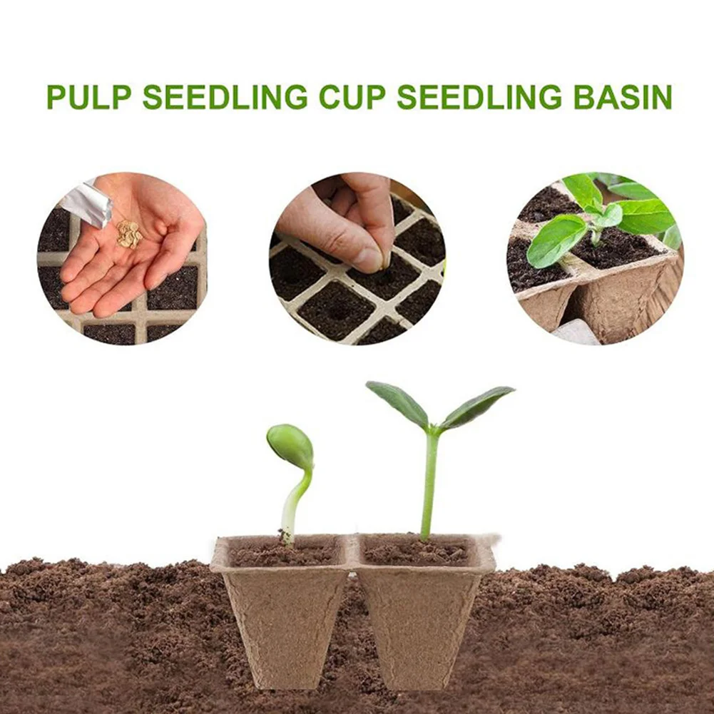 Young Plant Cup Starter Trays with Biodegradable Material Promoting Sustainable Gardening and Strong Plant Growth