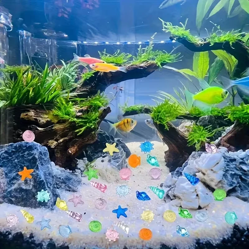 30 разноцветных декоративных и – обзор и цена Aquarium Fish Fishing