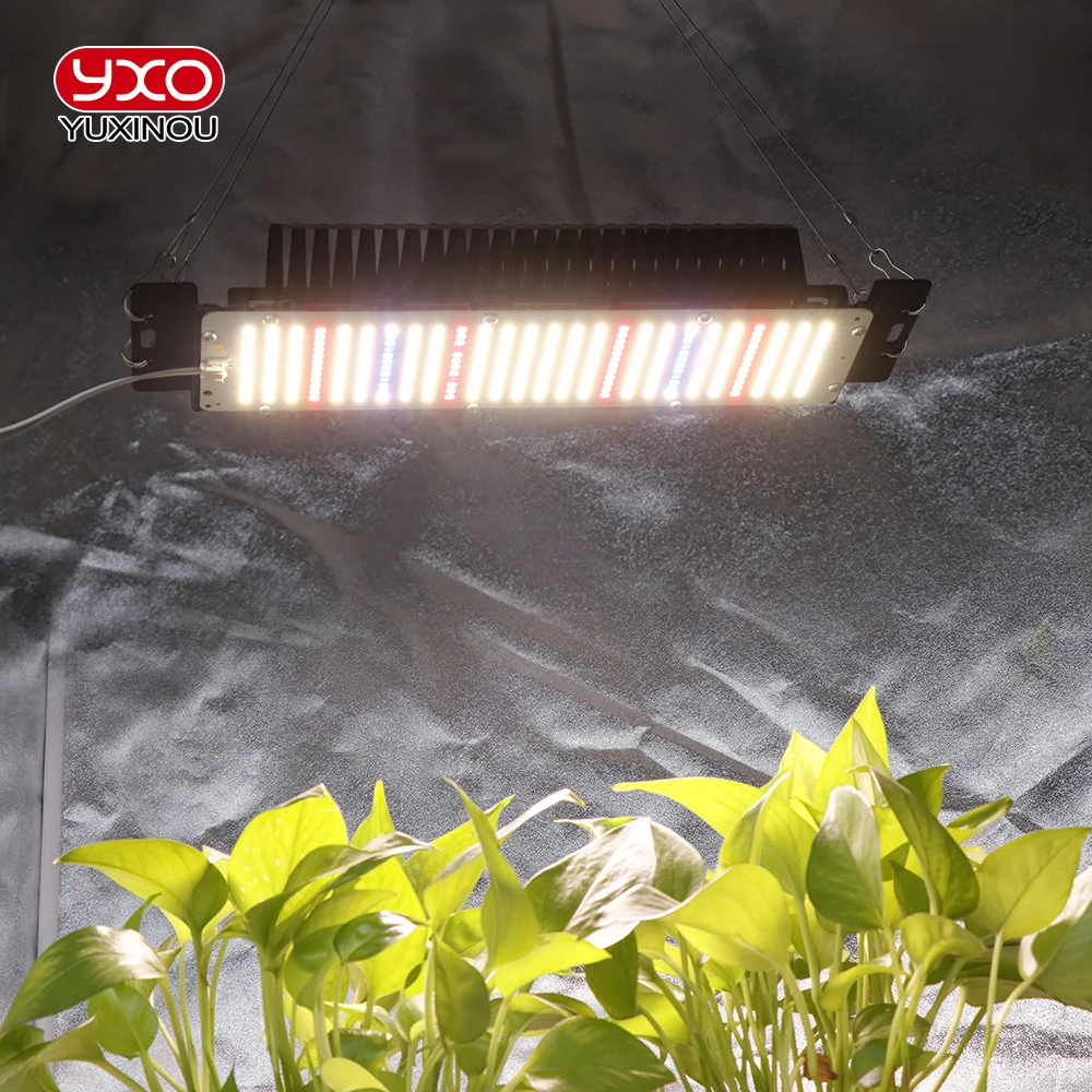 Imagem -04 - Espectro Completo Led Lâmpada de Crescimento Vegetal Crescer a Luz Samsung Lm2835 Estufa Interior Planta Hidroponia Semeadura de Flores 300w