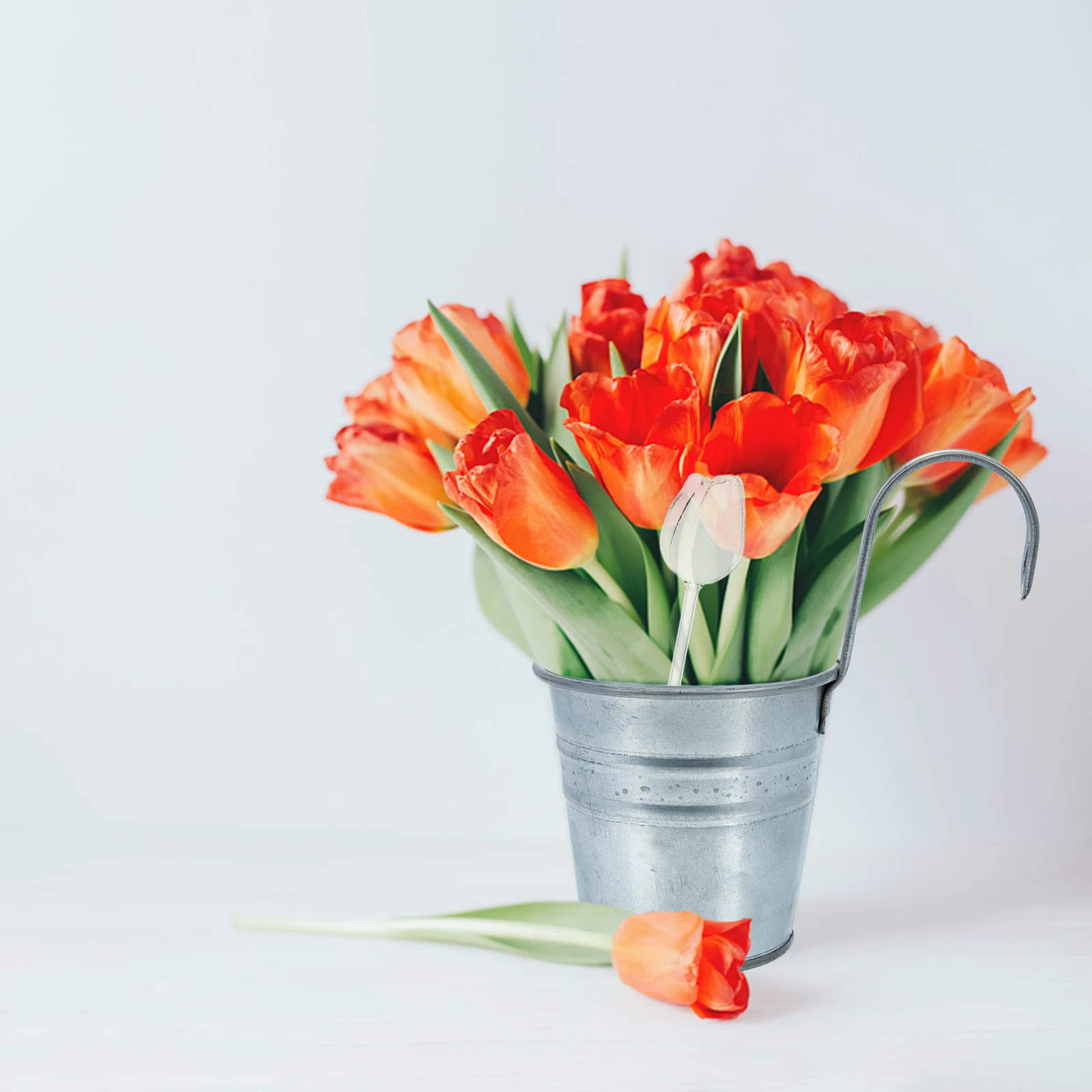 

2Pcs Rose Glass Globes for Plants Self Spikes Automatic Plant Waterer Indoor Outdoor Garden Irrigation System