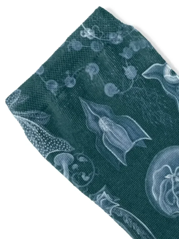 Ernst Haeckel - Siphonophorae Socks Novelties funny sock Stockings fashionable Designer Man Socks Women's