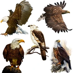 Three Ratels QCF168 Sharp Eagle Personalized Raptor Wall Sticker for home decoration Furniture Scratches Cover Self Adhesive