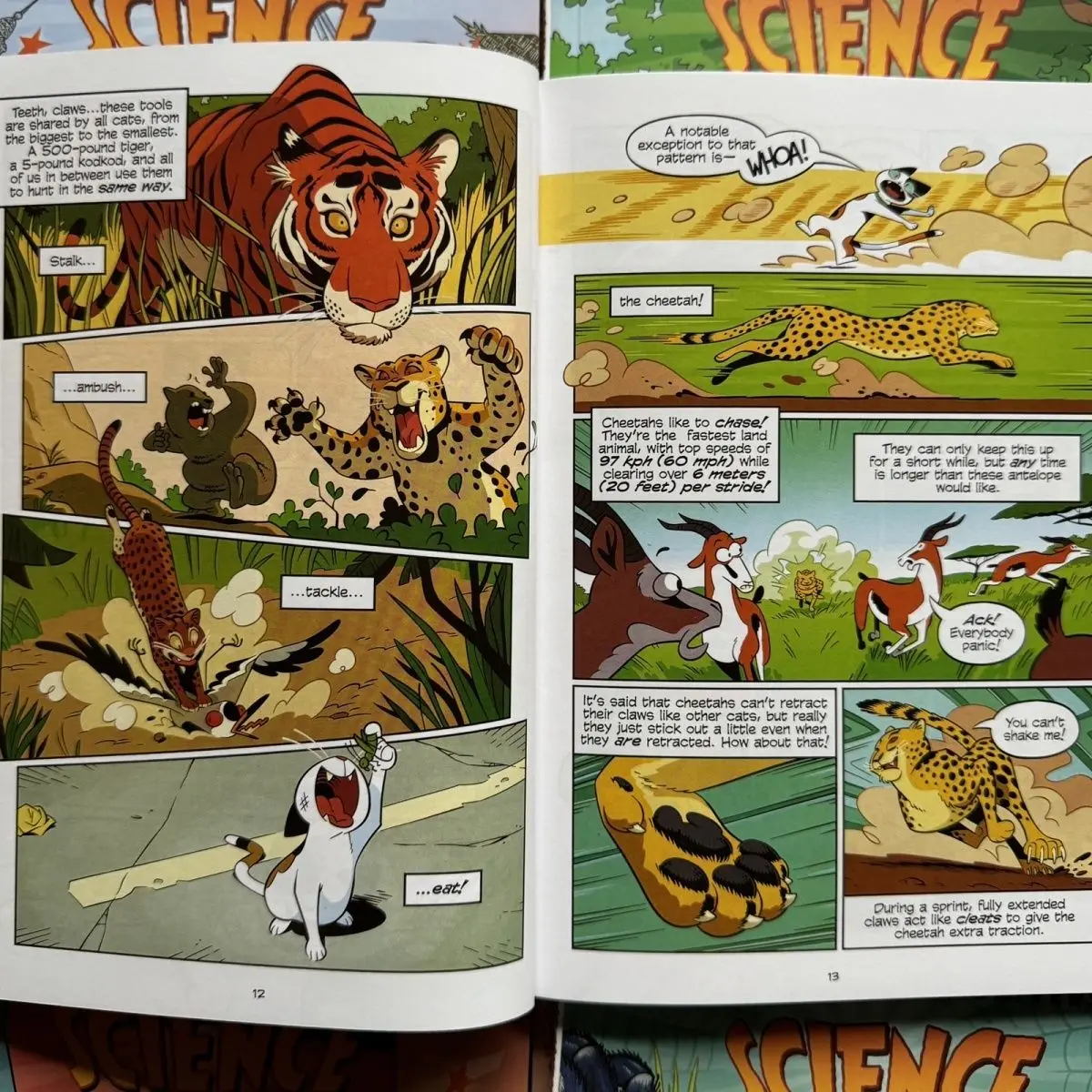 The Latest 30 Volumes of Science Comics Children's Exploration of Cognitive STEM Nature Popularization