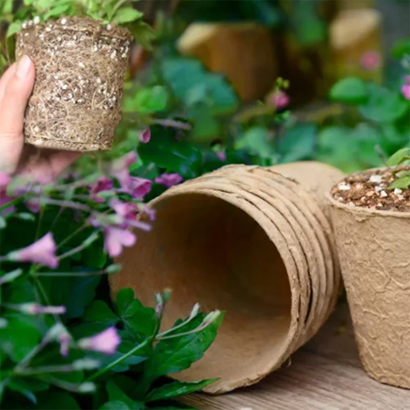 50 Stück Runde Garten-Torfächer, Pflanzkübel für Setzlinge, Anzuchtschalen, Kräuter-Saatbehälter, Pflanzwerkzeuge, Umweltfreundlich, Biologisch Abbaubar – Detail 8