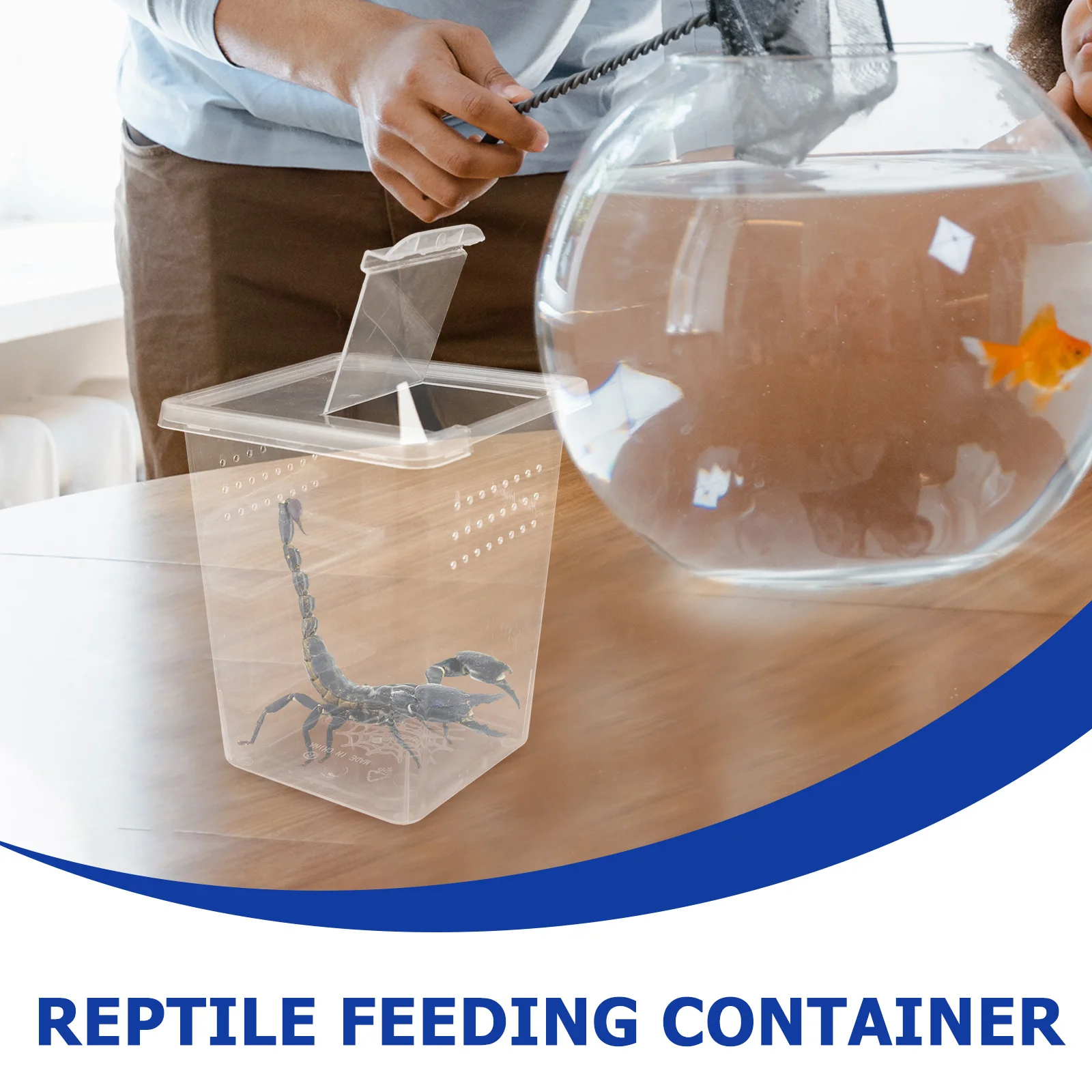 

8pcs Transparent Reptile Box For Spider Snake Scorpion Hermit Crab Large Space Ventilated Feeding Container Lightweight Plastic