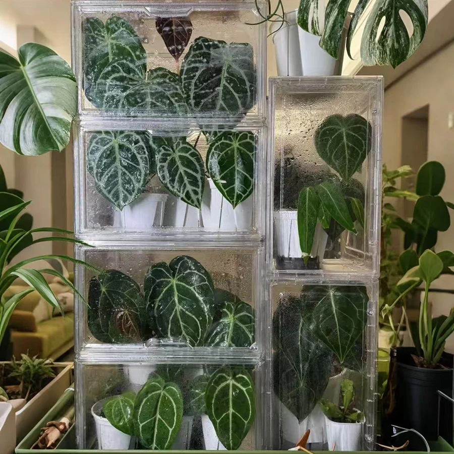 Plant Incubation Box Tropical Plant Insulation Box Home Small Greenhouse Warm Shed Balcony Seedling Box Moisturizing Box