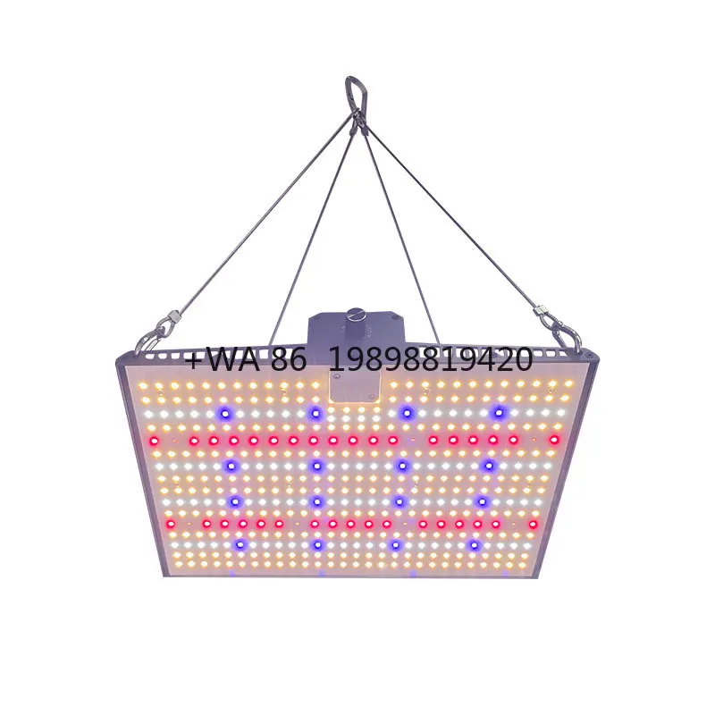 Lm281B Led Grow Ful… - image
