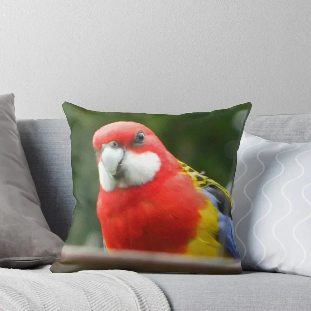 Eastern Rosella Print Throw Pillow Decorative Pillow Covers For Sofa Sofa Decorative Covers pillow