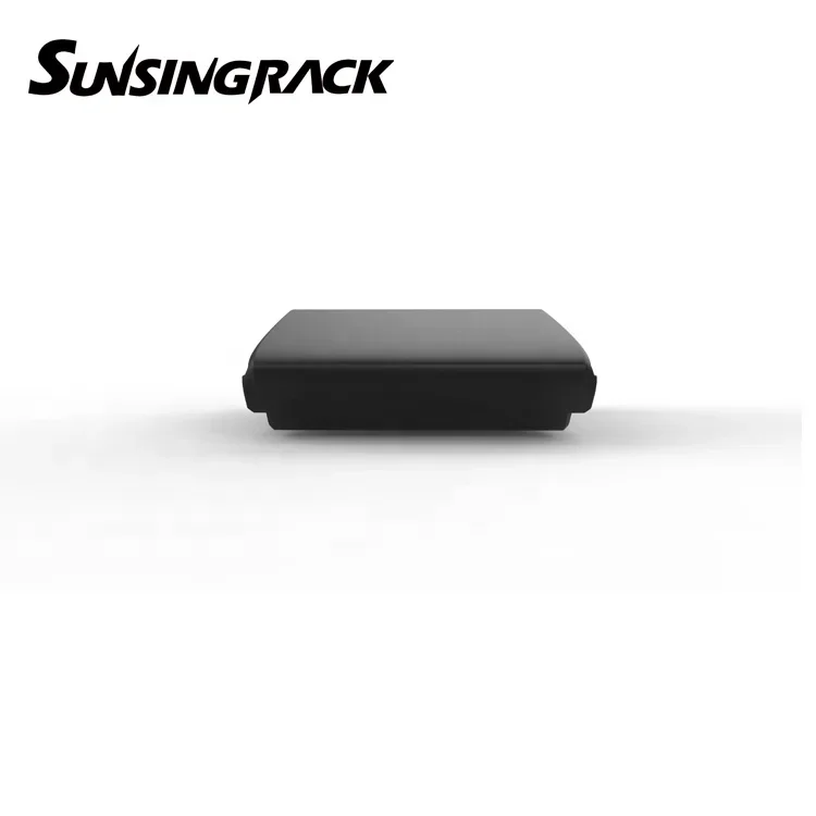 New design Sunsing Universal ABS Car Roof Box luggage