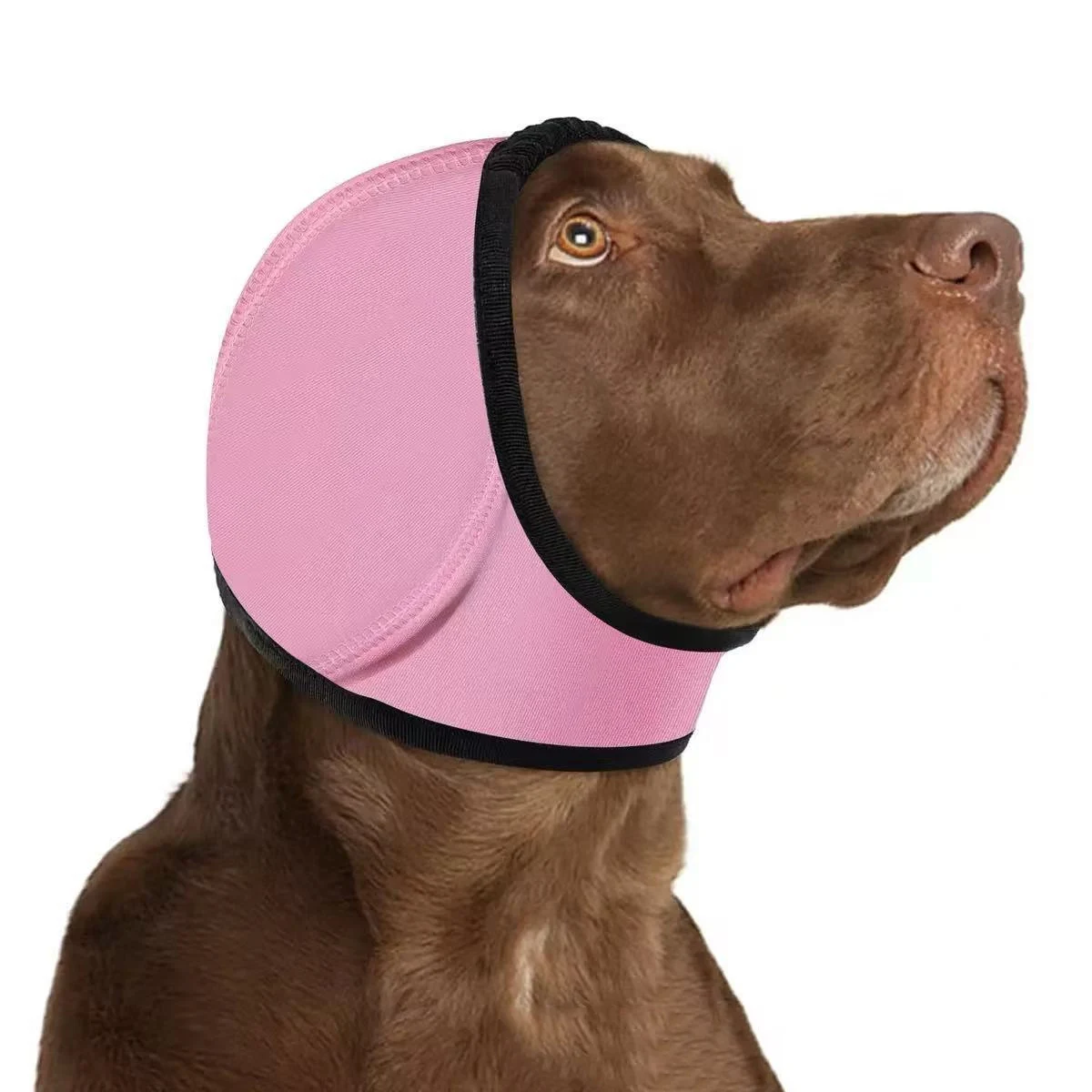 Hunde-Ohrenschutz Wasserdichte Ohrenkappen für Hunde Duschhaube Pflegewerkzeug für Welpen Schwimmen Ohrenschutz vor Infektionen – Detail 5