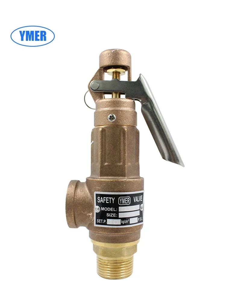 Spring type safety valve automatic pressure relief S10L steam boiler gas storage tank pressure tank overflow valve 4 points DN25