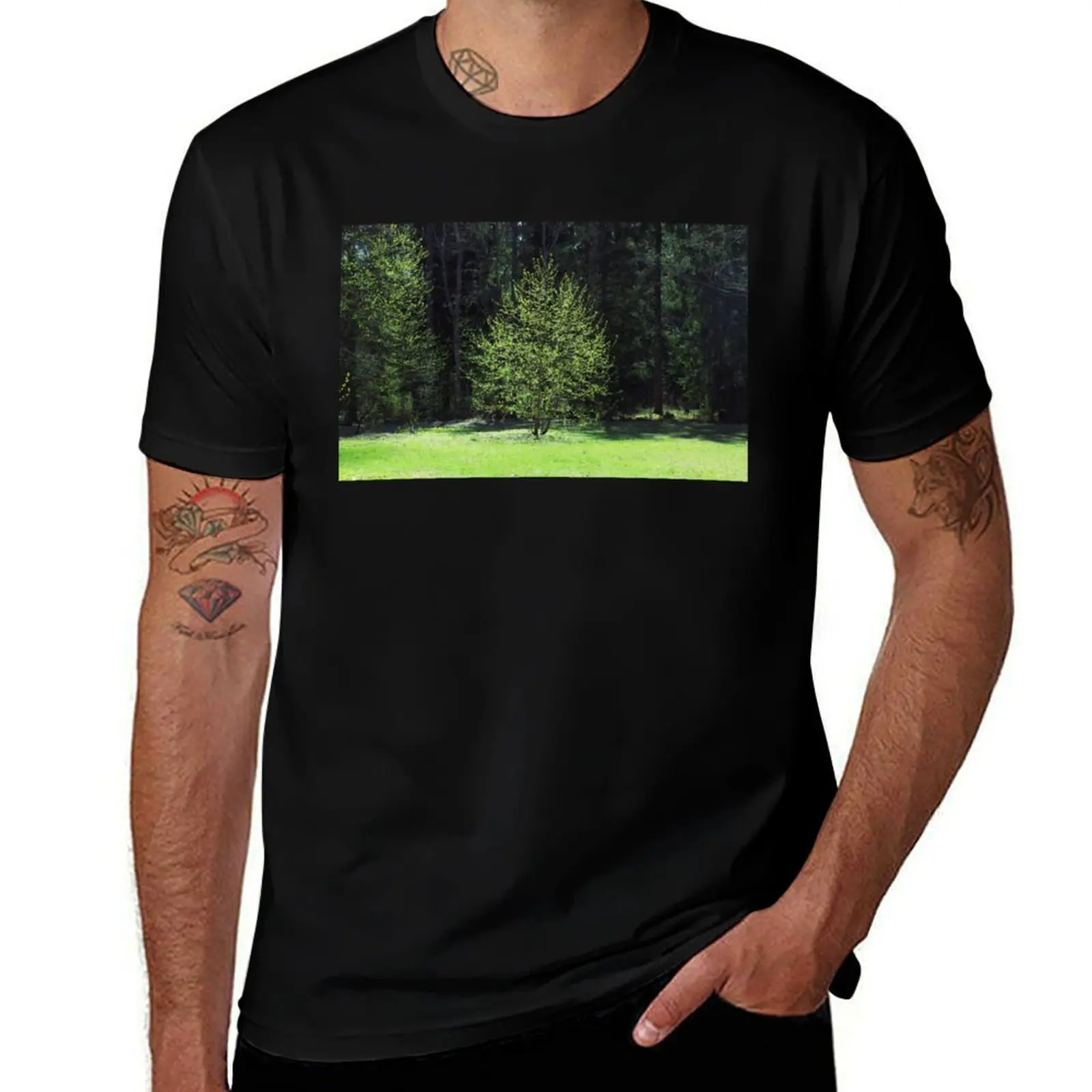 

Springtime Has Started In The Forest T-Shirt vintage graphic tee anime Aesthetic clothing mens white t shirts