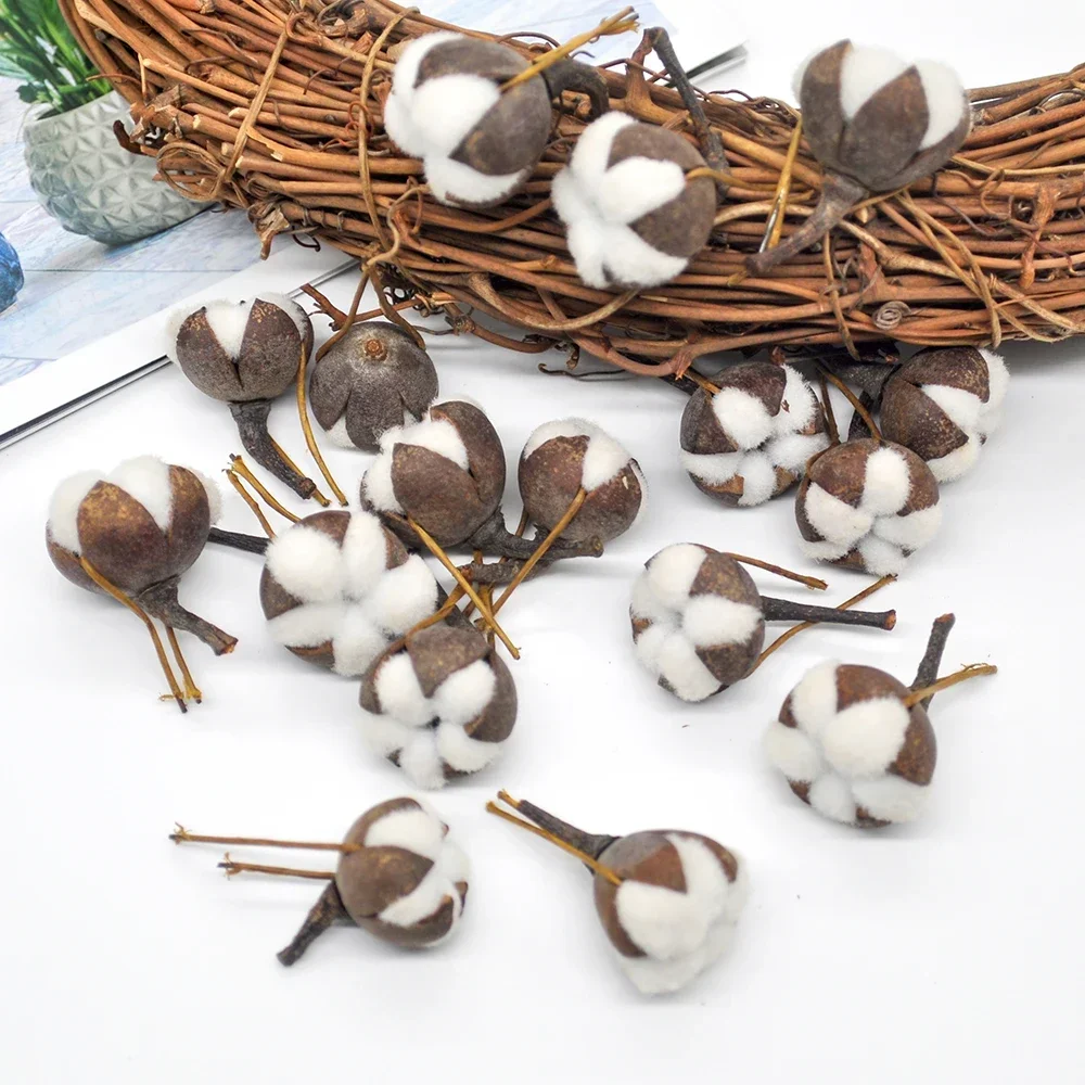 Artificial Kapok Natural Dried Flowers Simulation Cotton Wedding Room Easter Decoration Supplies DIY Wreath Bouquet Gift Box