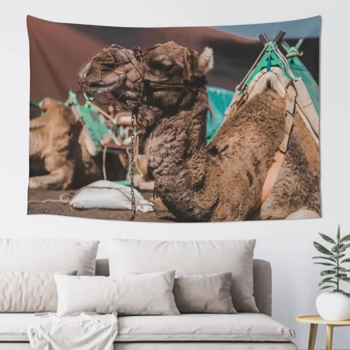 

Camel Resting Tapestry Room Decorations Aesthetic Wall Hanging Wall Tapestry