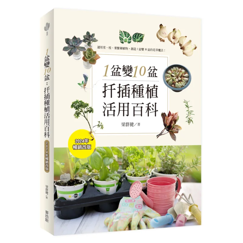 

От 1 до 10 лотков. Комплексное руководство по использованию вырезания. Бестселлер, пересмотренное издание 2024 9786267558164.
