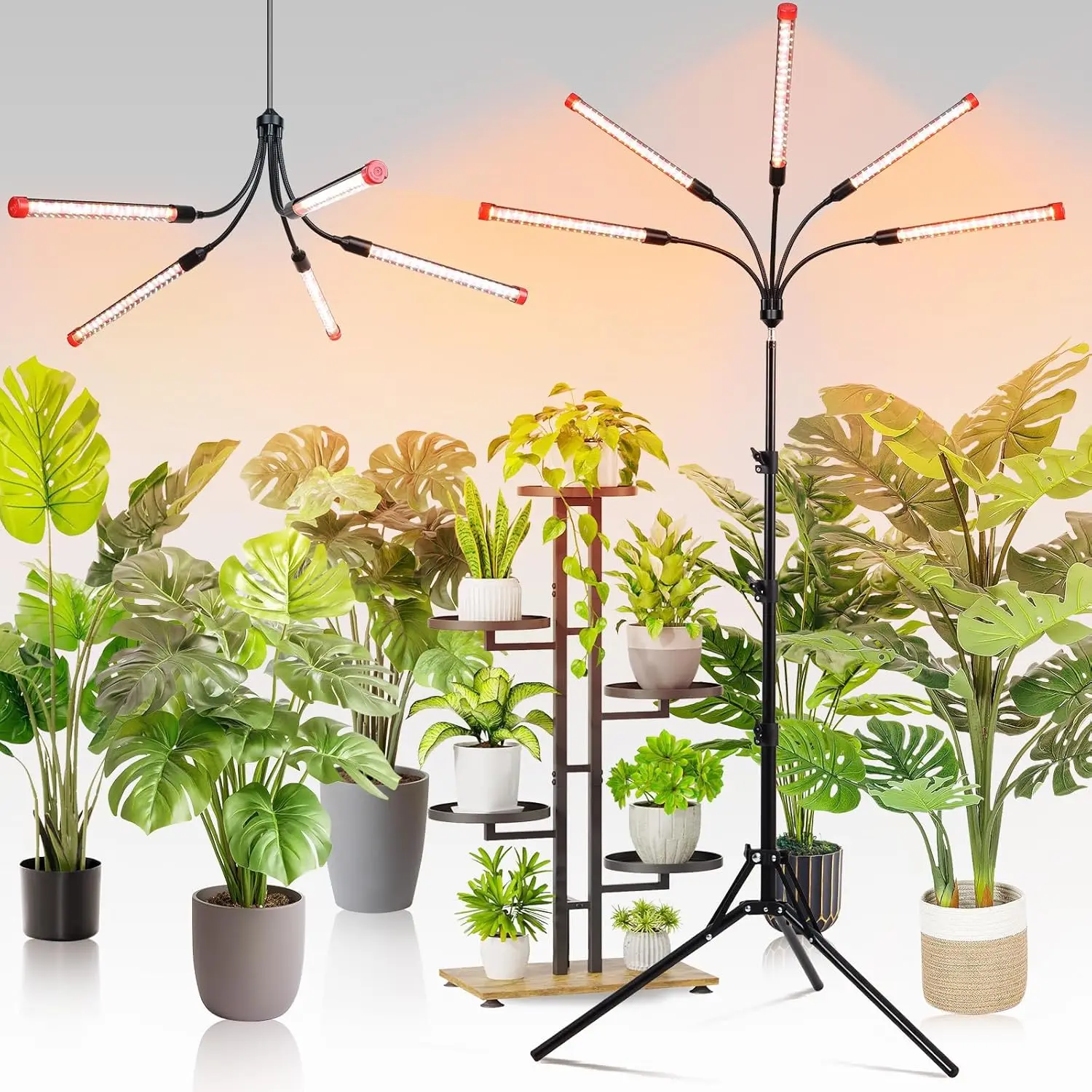 

45W Full Spectrum Grow Light with Timer & Adjustable Stand for Indoor Plants, Bonsai Trees