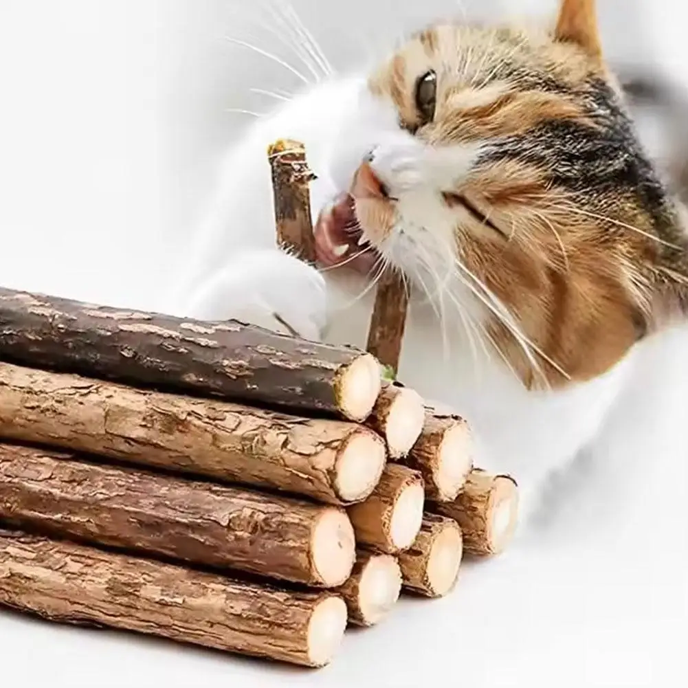 Cat Catnip Sticks Natural Matatabi Silvervine Sticks For Cleaning Teeth Self Healing Cat Snack Stick Kitten Chew Toys