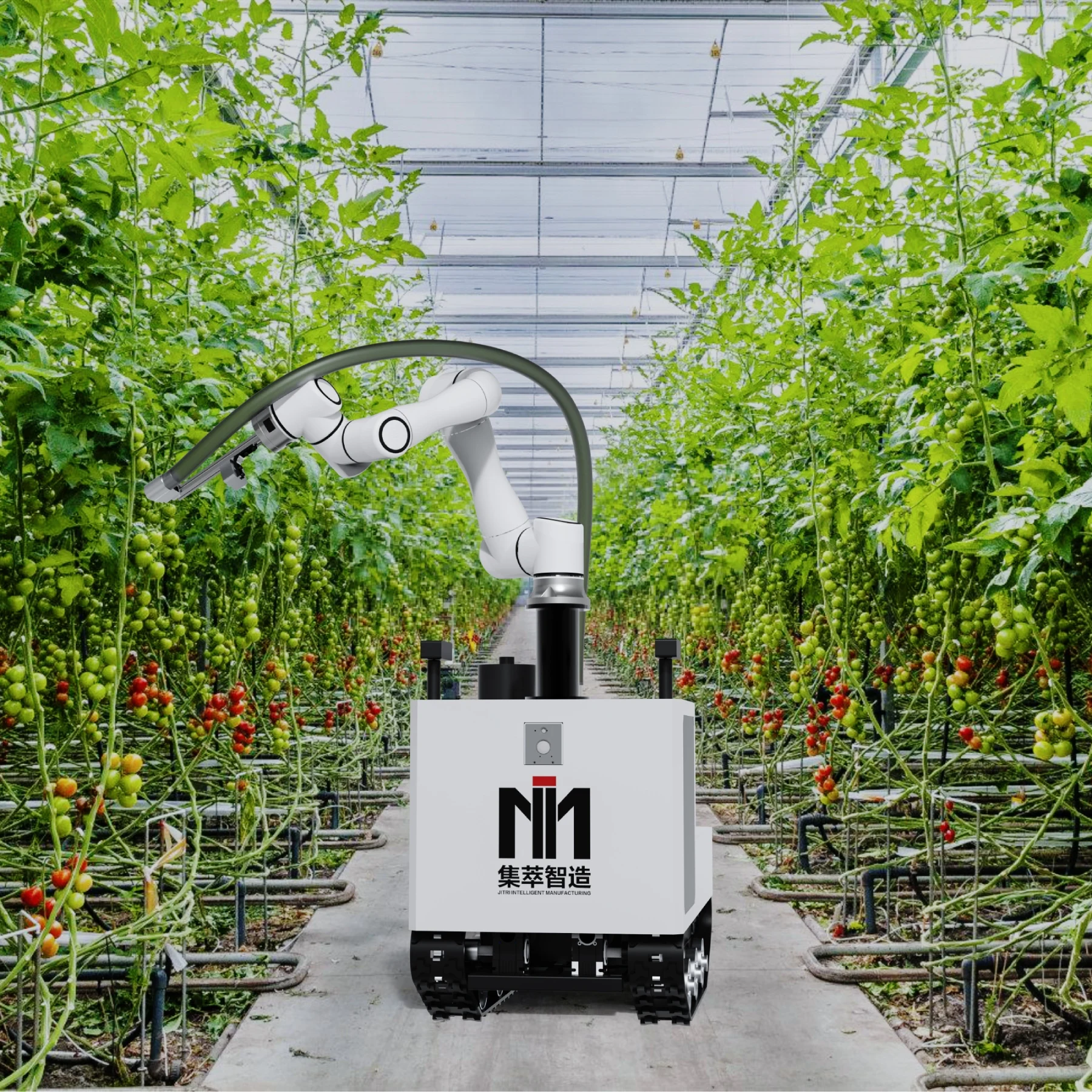 Factory Price Smart Mobile Agriculture Harvesting Collaborative Robot