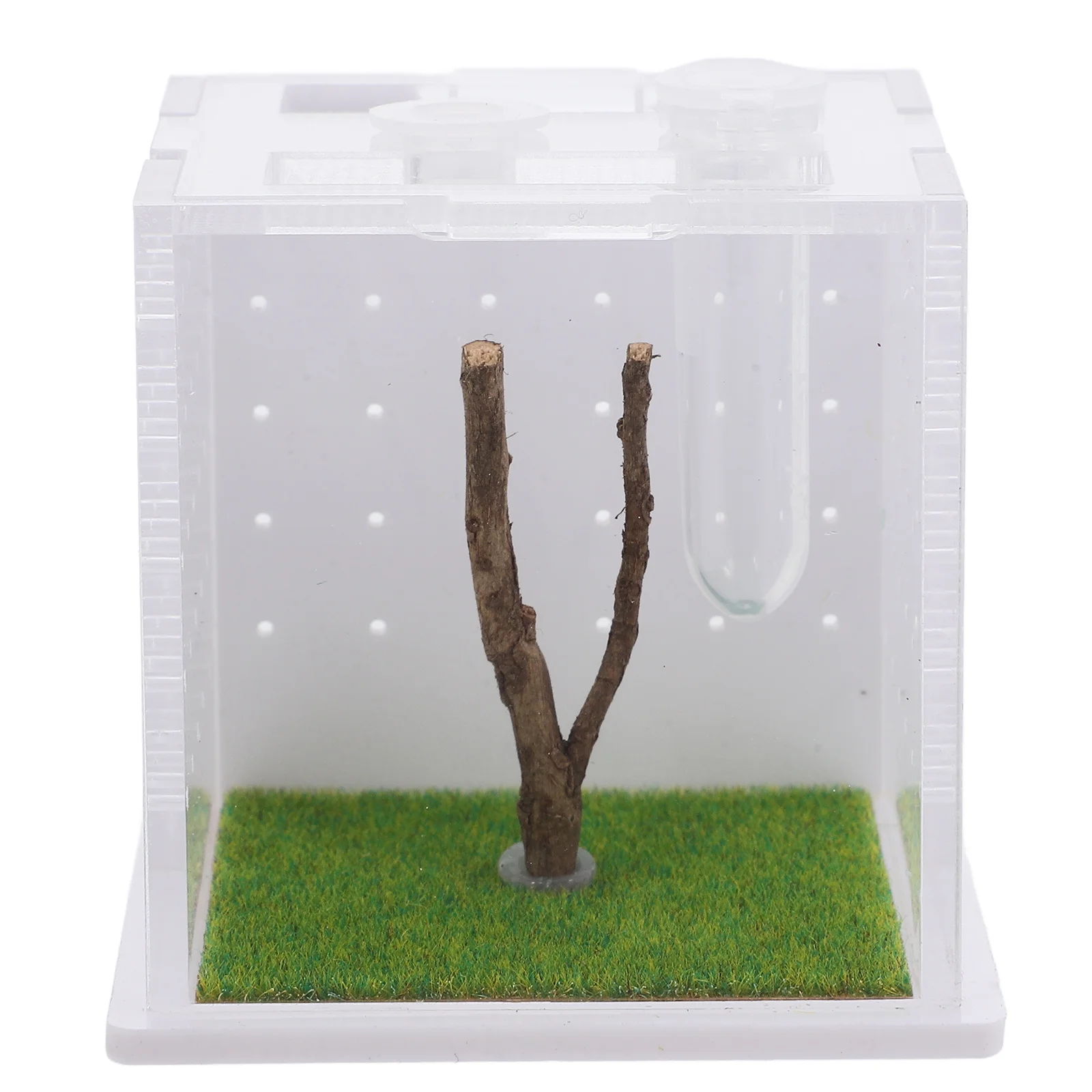 

Jumping Spider Terrarium Acrylic Insect Container Clear Design Breathable Holes Suitable Small Lizards Crickets Snails Home