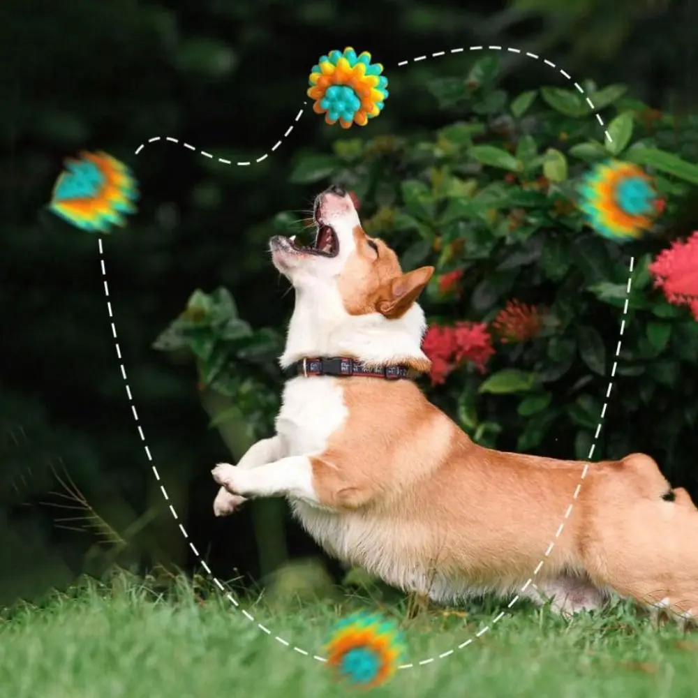 

Bite Resistant Dog Elastic Ball Toy High Elastic Colorful Dog Tooth Cleaning Toy TPR Interactive Dog Toy Relieve Boredom
