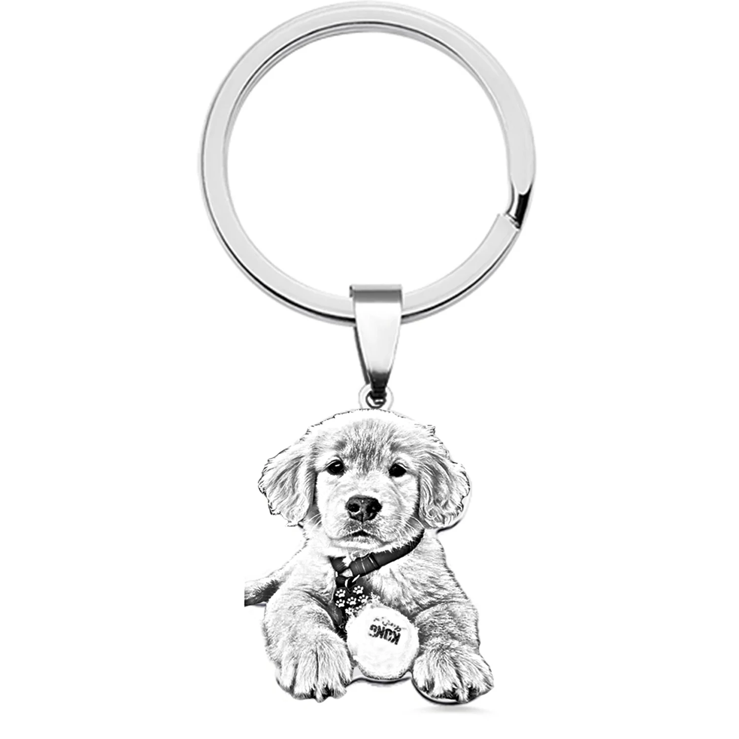 Dascusto Customized Pet Photo Keychain Stainless Steel Dog Tag Key Chain For Memorial Best Gift Personalized Pet Animal Keyring