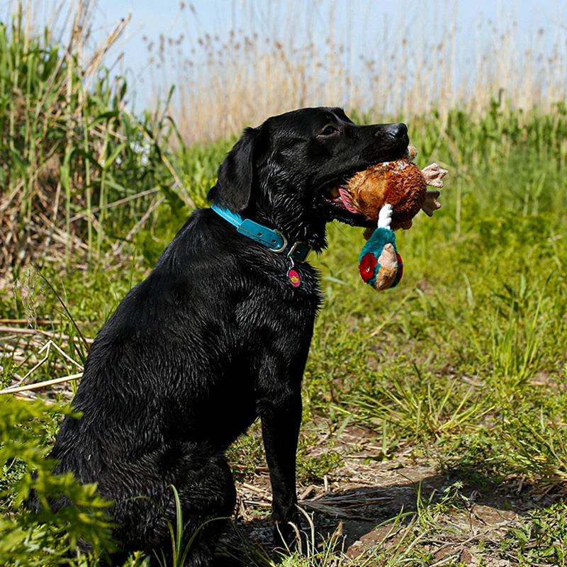 Simulation Wild Duck Chicken Otter Pet Squeaky Toys Durable Fur Tug Dog Toy Large Dogs Chewing Plush Toy