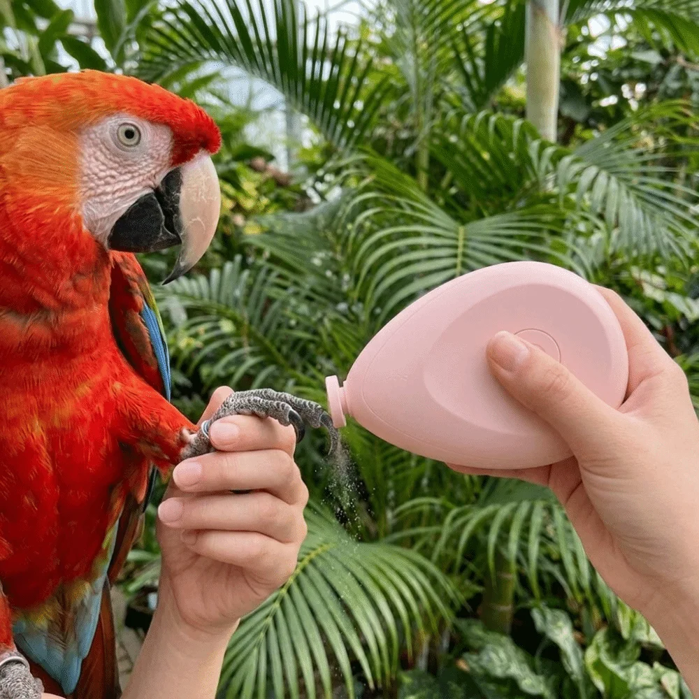 Low Noise Electric Parrot Nail Trimmer with 4 Polishing Heads Efficient Parrot Beak Grinder Portable Bird Paw Grinder