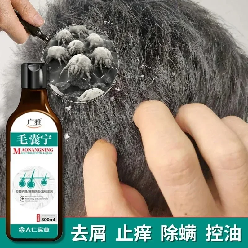 샴푸 Anti-Dandruff Anti-Itch Shampoo Chinese Herbal Hair Care Mite Folliculitis Seborrheic Scalp  dry shampoo  шампунь для волос