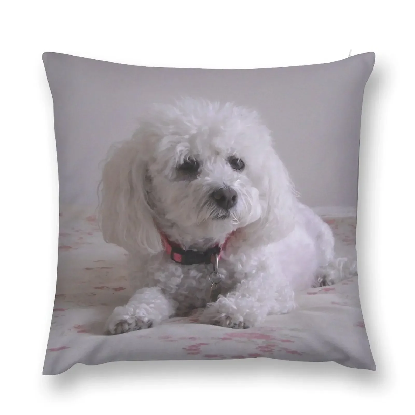 Molly the Bichon Frise Throw Pillow Pillow Cases Pillows Aesthetic ornamental pillows pillow