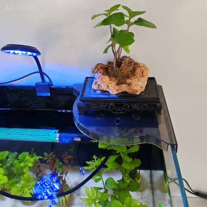 Hydroponisches Pflanzenplattform-Eckregal zur Aufbewahrung von Aquarien, stanzfreie Halterung mit Aquarium-Landschaftsdesign