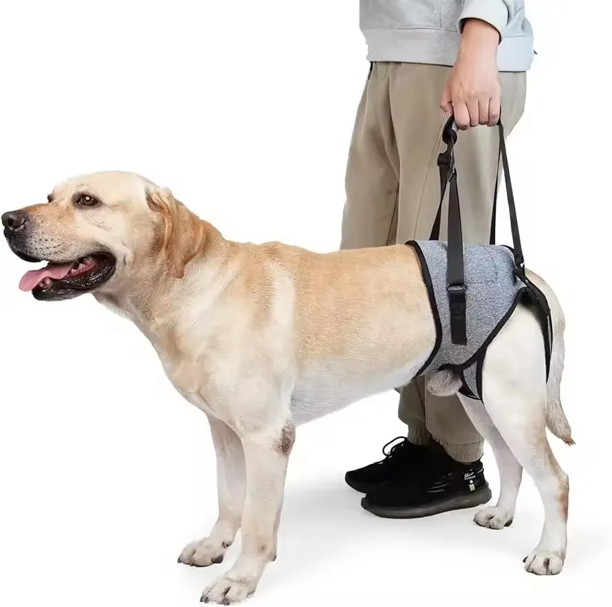 調整可能な犬用リフトスリング。後脚を支え、持ち運び可能な歩行補助ベルト。高齢犬や怪我をした犬に最適。