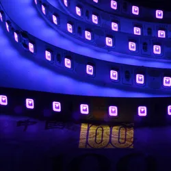 5M UV 395nm Led Strip Light 5050 2835 SMD 5V Or 12v Ultraviolet Ray LED Diode Ribbon Purple Flexible Tape for DJ Fluorescence