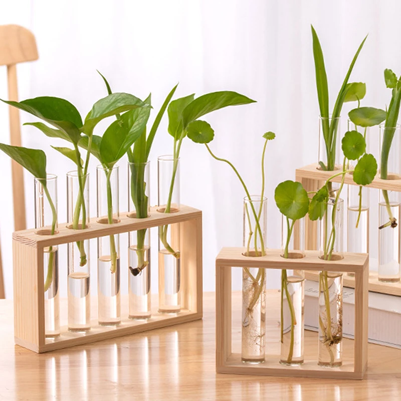 1 Set Creative Hydroponic Plants Container With Wood Frame Transparent Glass Test Tube Vase Bonsai Home Desktop Decor Crafts