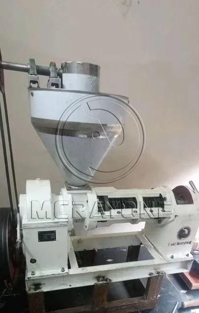 เครื่องกดน้ำมัน เครื่องสกัดน้ำมันสำหรับธุรกิจขนาดเล็ก โรงงานสกัดน้ำมันจากเมล็ดพืช